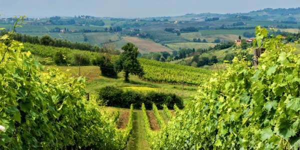 Les climats et terroirs viticoles de la France