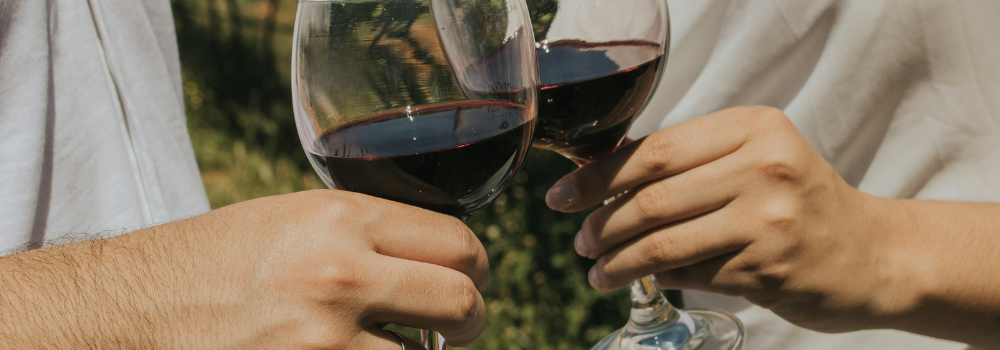 Les meilleurs vins à base de Syrah