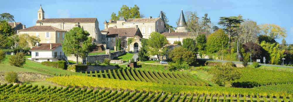 Les grandes régions viticoles françaises : cépages et vins à découvrir